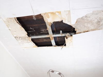 About Burlingame Mold Specialist - mold removal experts in Burlingame, CA
